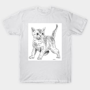 Cute little fluffy kitten! T-Shirt